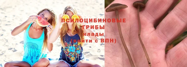 винт Баксан