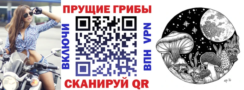 закладка  omg ссылка  Галлюциногенные грибы прущие грибы  Котельники 